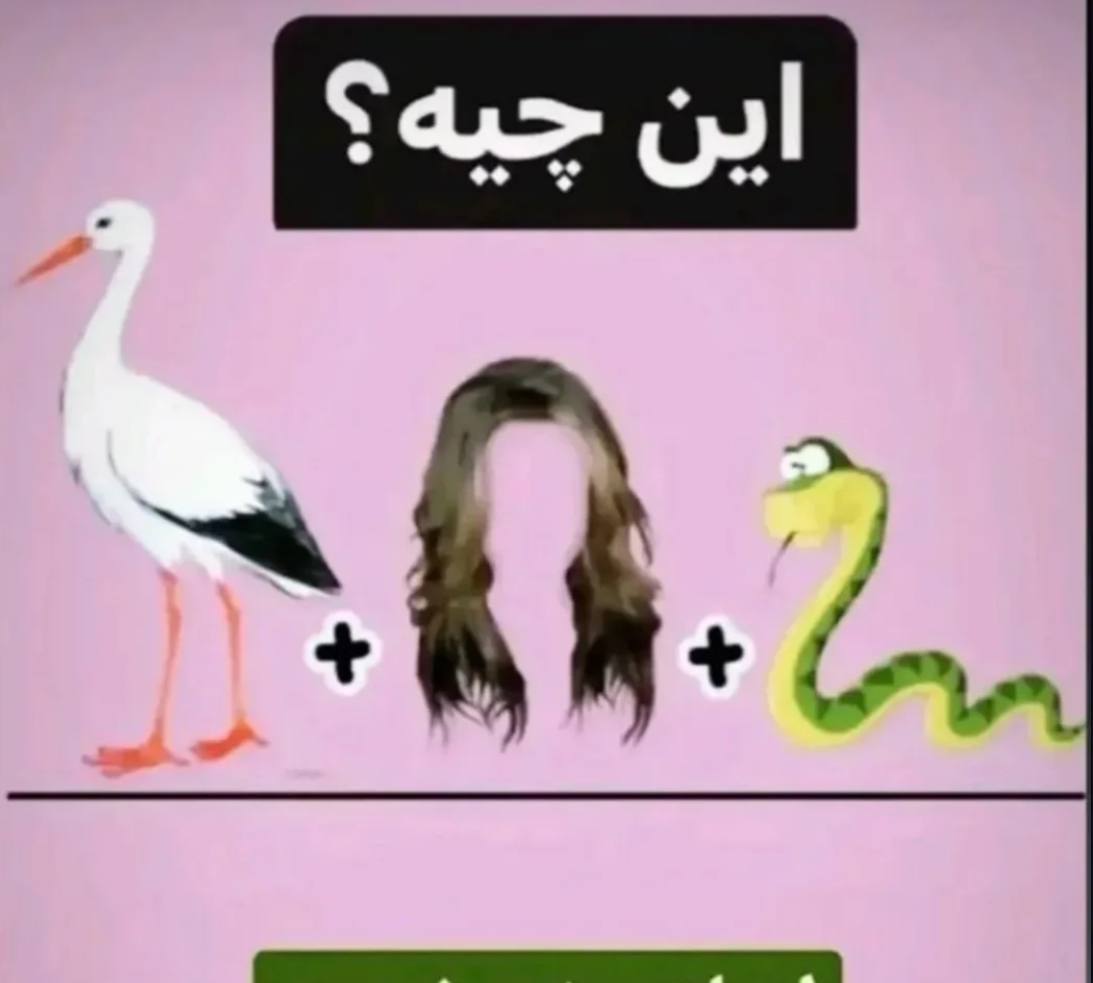 شماره 86