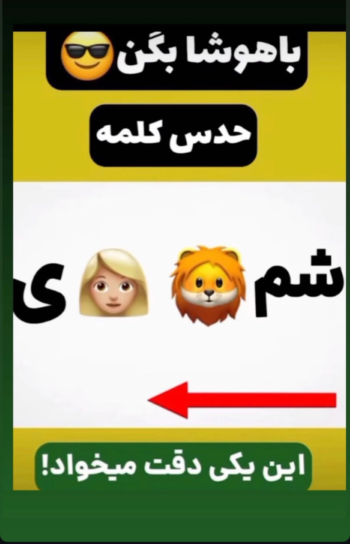 شماره 55