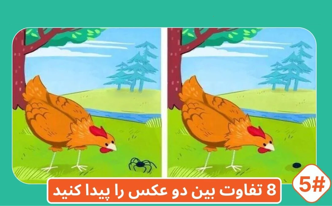 شماره20