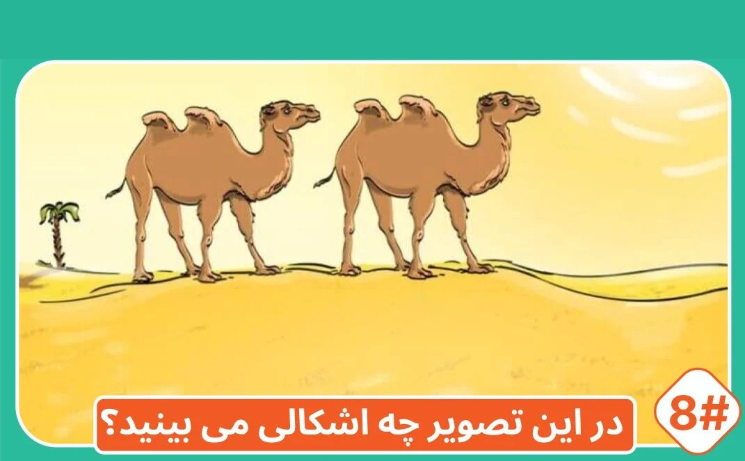 شماره12