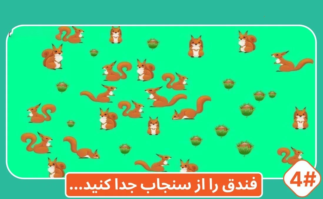 شماره28